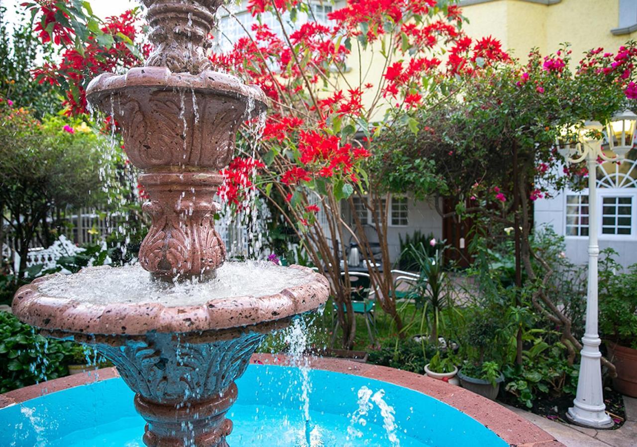 Casa San Pedro Bed & Breakfast Mexico City Exterior photo
